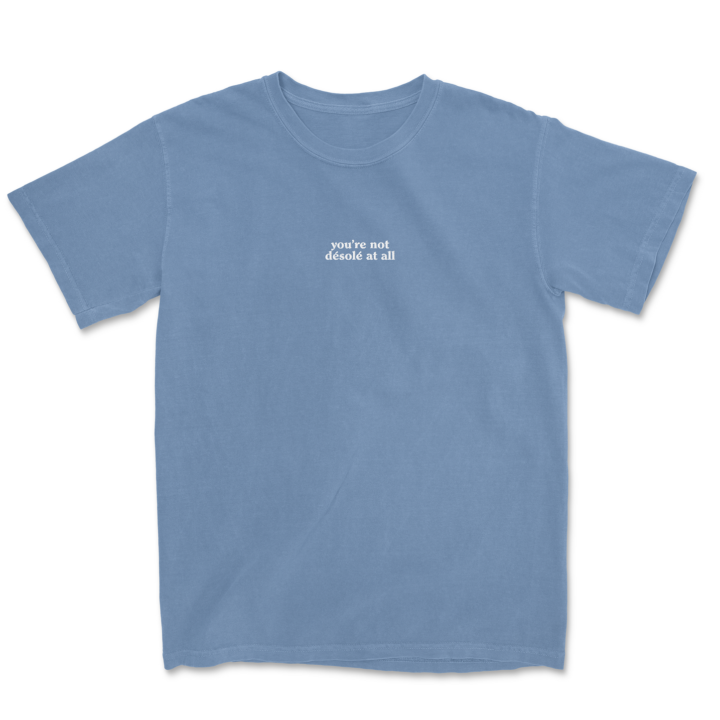 YOU'RE NOT DESOLE AT ALL EMBROIDERED TEE