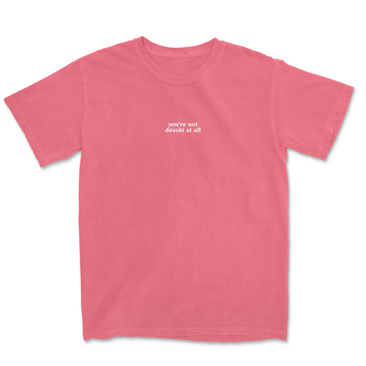 YOU'RE NOT DESOLE AT ALL EMBROIDERED TEE