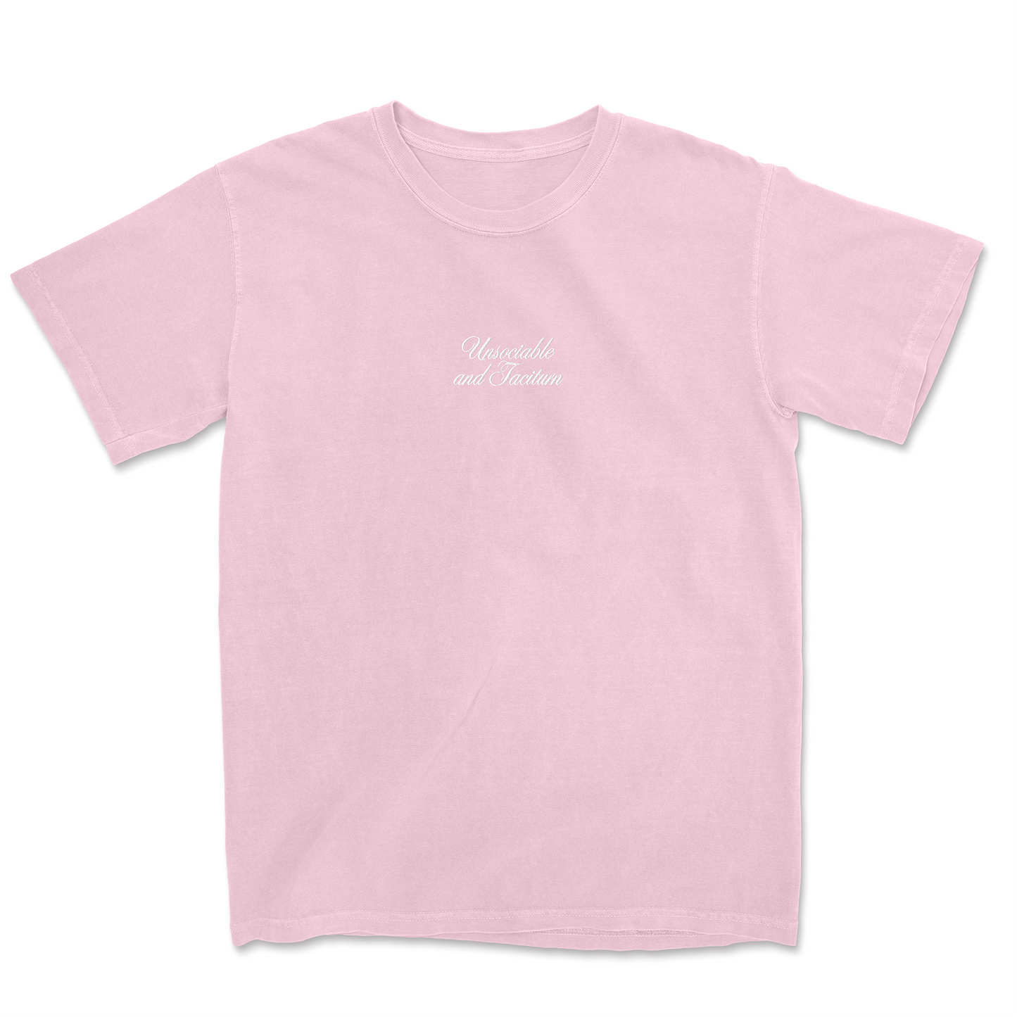 UNSOCIABLE AND TACITURN EMBROIDERED TEE